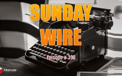 ‘Major Realignments’ with Dr Mark Changizi and Brian Berletic