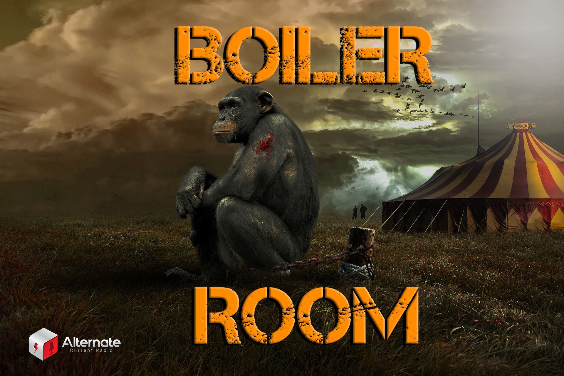 Boiler Room EP 443