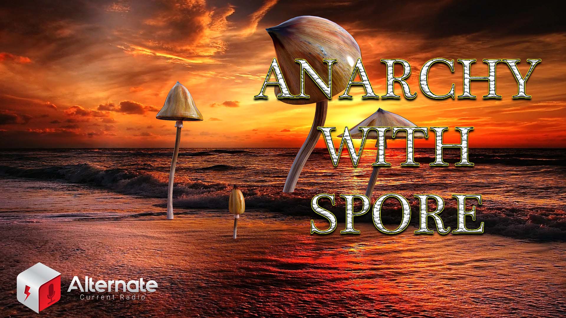 Anarchy With Spore Shrooms