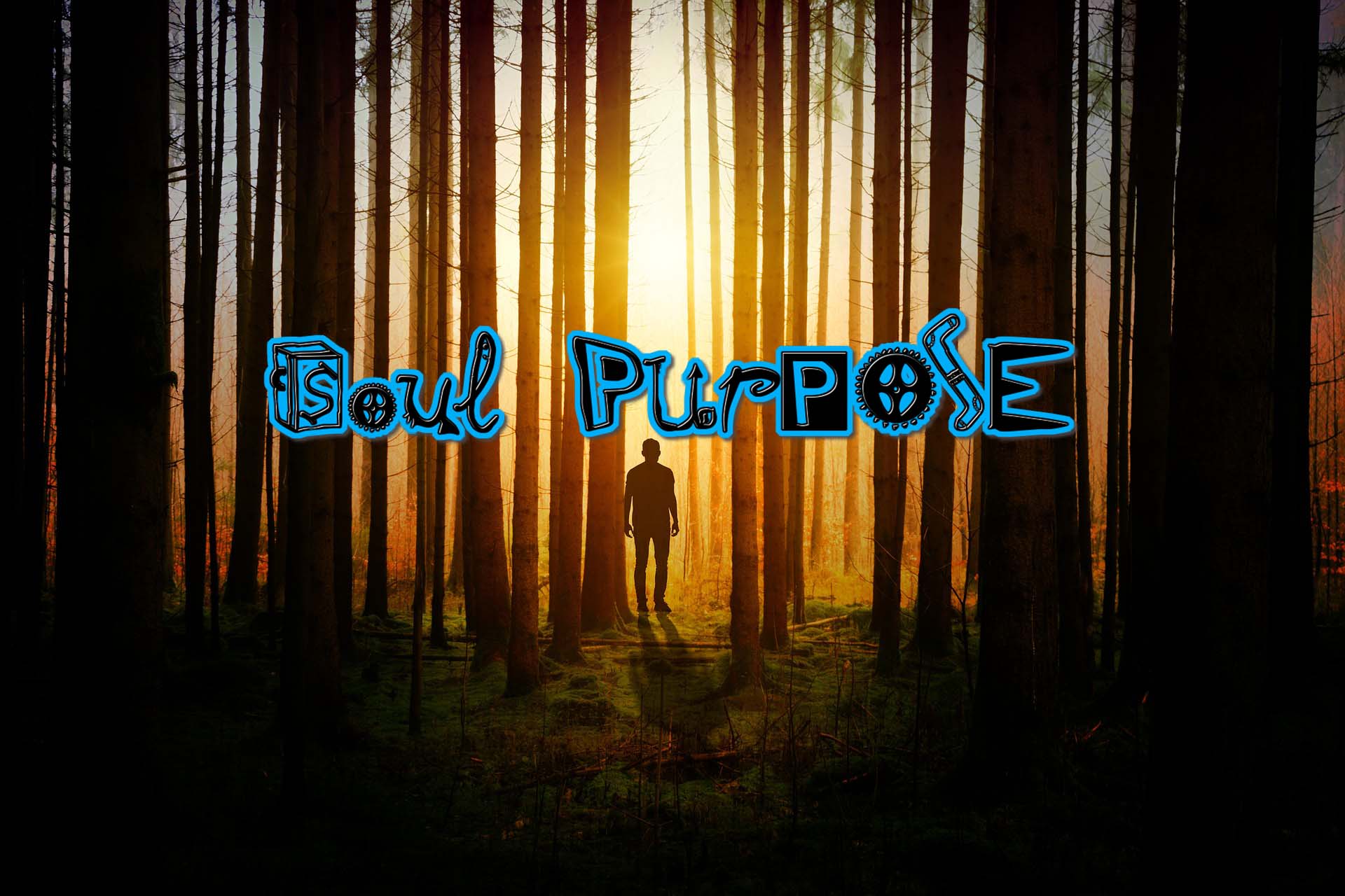 Soul Purpose with Flip Van Houte