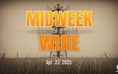 MIDWEEK WIRE: ‘Why Douglas Murray is WOKE RIGHT’ with guest Basil Valentine