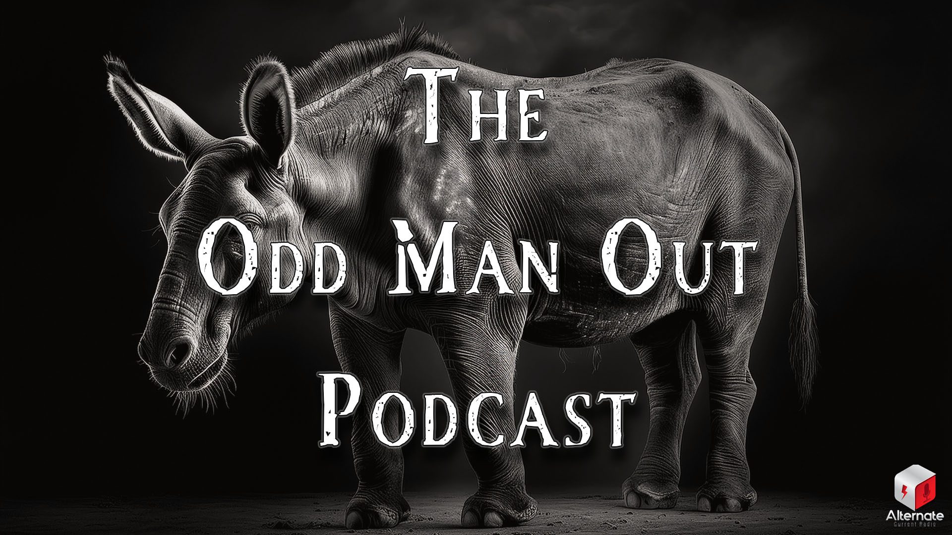 A digitally manipulated image of an animal blending rhinoceros and donkey features, with a rhino-like body and skin texture, and a donkey's head and ears, set against a dark background.