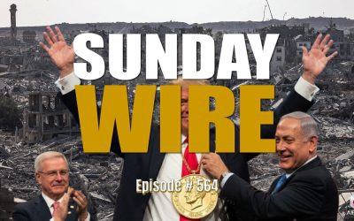 ‘The Illusion of Peace’