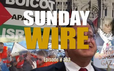 The Line In The Water