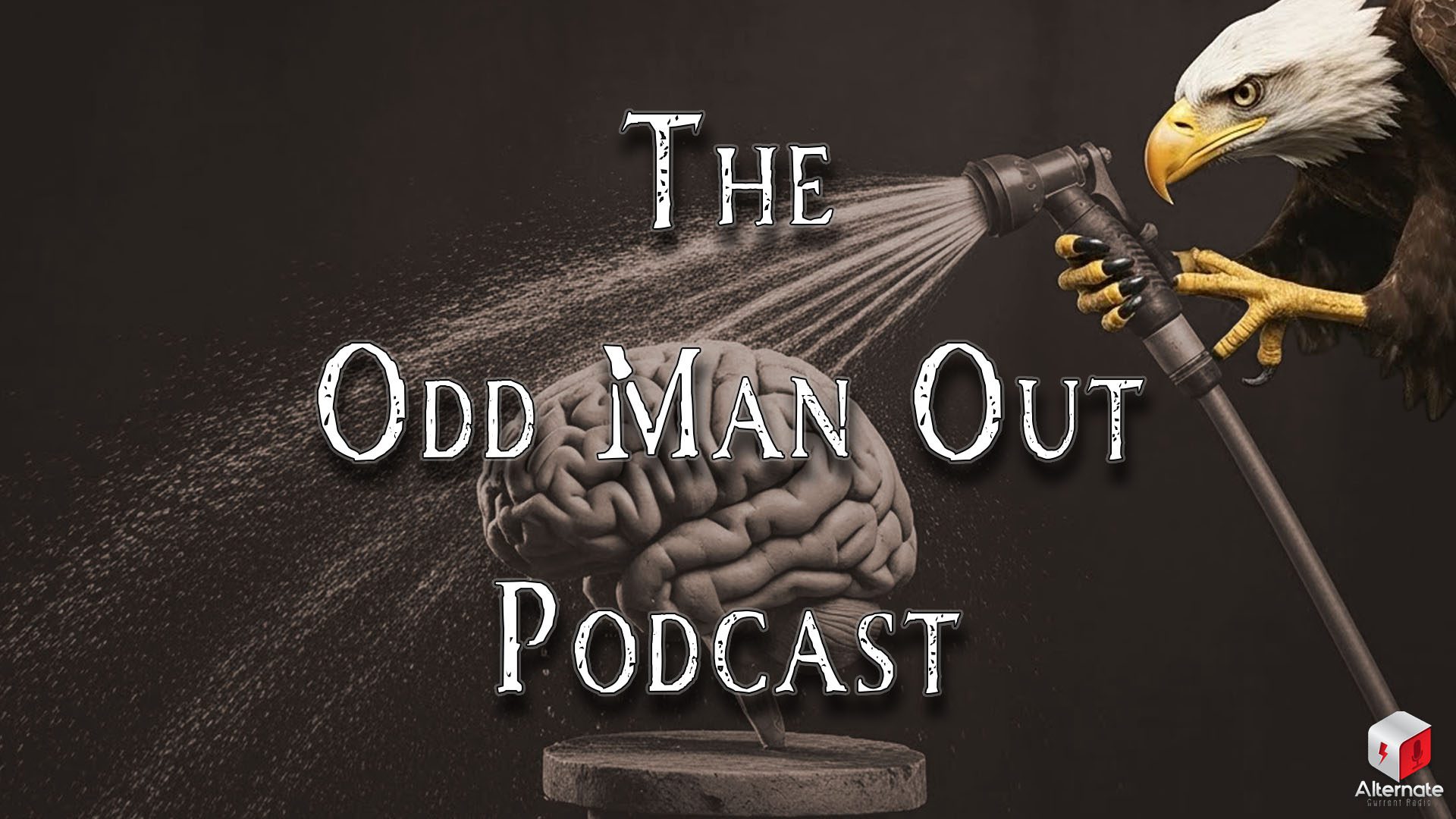 The CPI Treatment A bald eagle sprays water from a garden hose onto a statue of a human brain mounted on a pedestal.