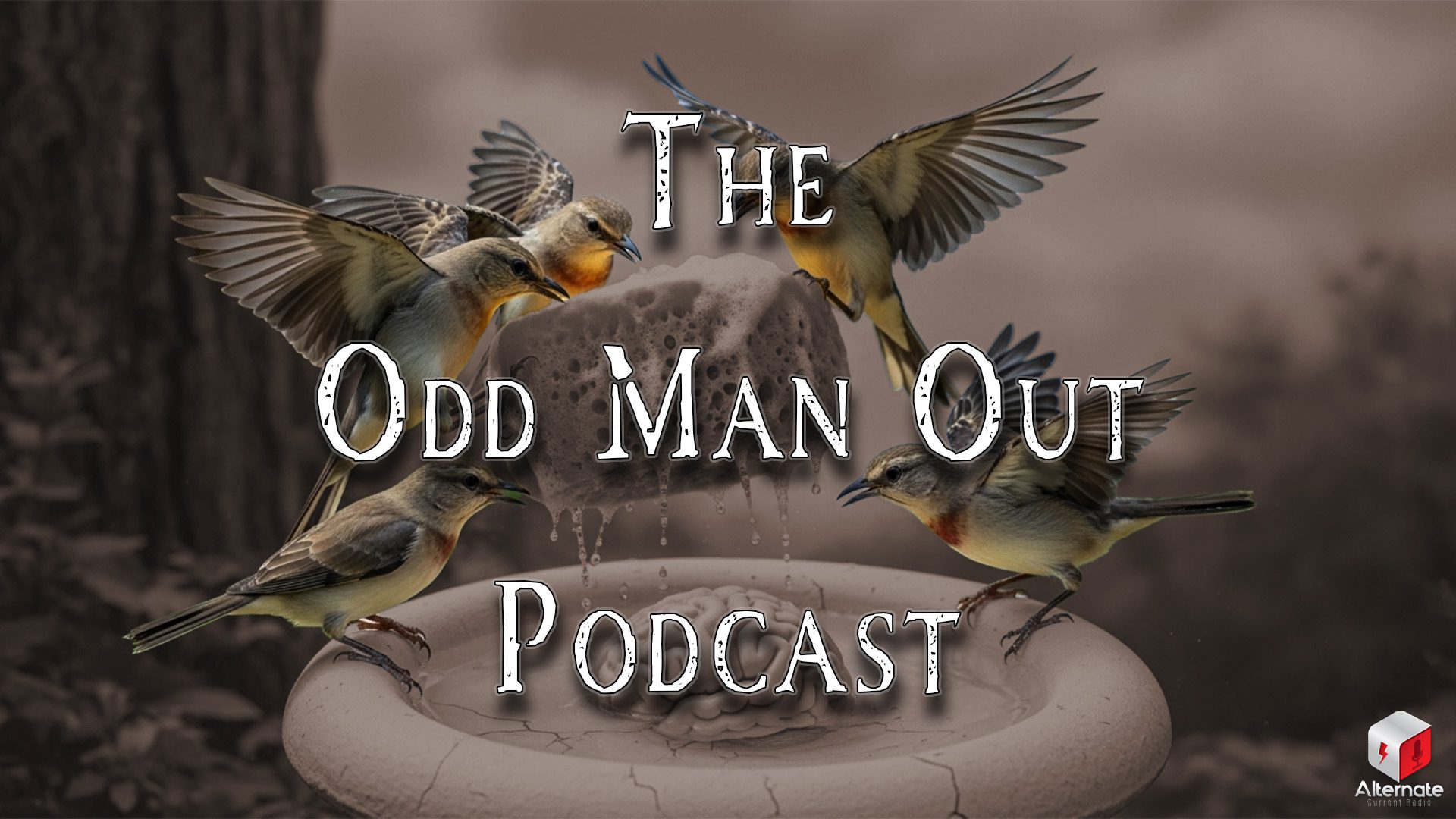 Five Mockingbirds gather around a surreal birdbath containing a realistic human brain. Suspended above the bath is a large, dripping sponge covered in soap suds, which the birds appear to be using to wash the brain.