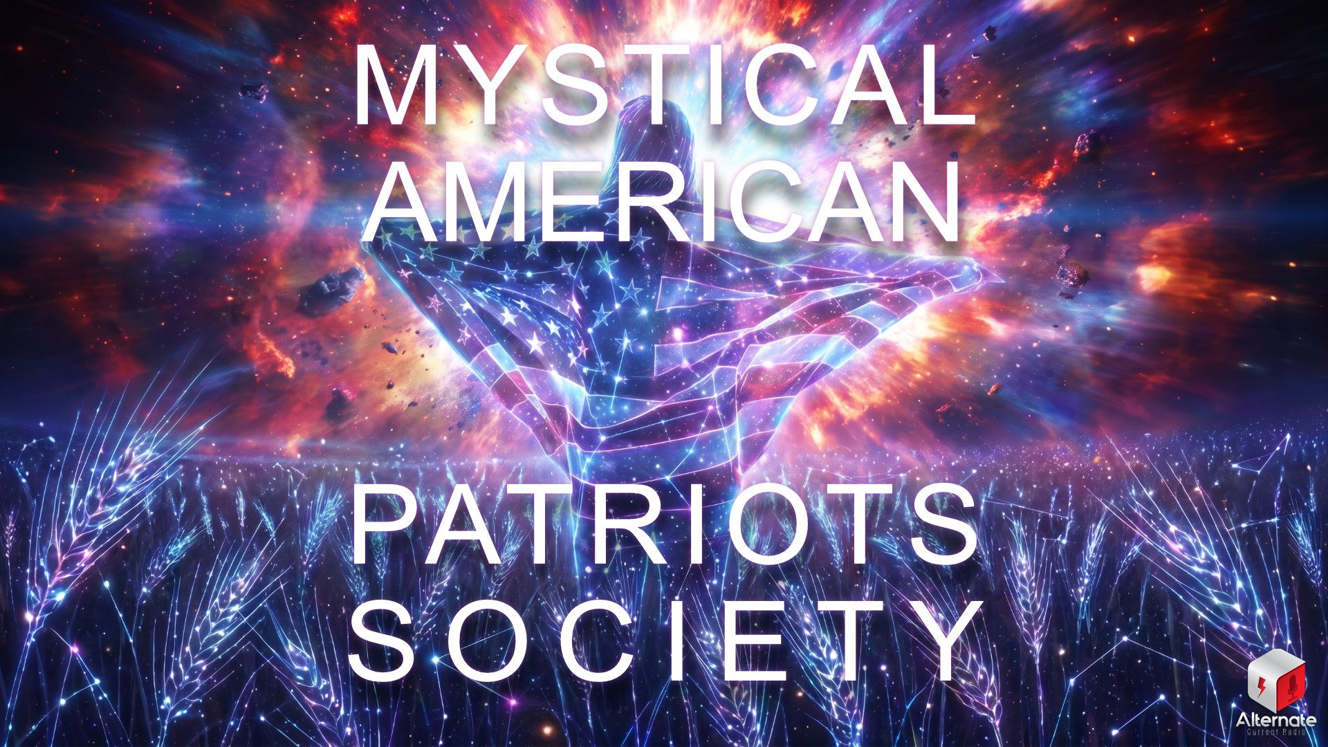 A silhouetted figure stands in a glowing field as cosmic light bursts overhead. The figure is draped in a radiant, star‑patterned American flag, and the wheat‑like plants shimmer with constellation‑like points of light. With a MYSTICAL AMERICAN PATRIOTS SOCIETY logo overlaid at the center.
